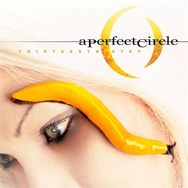 Perfect Circle, A - Thirteenth Step