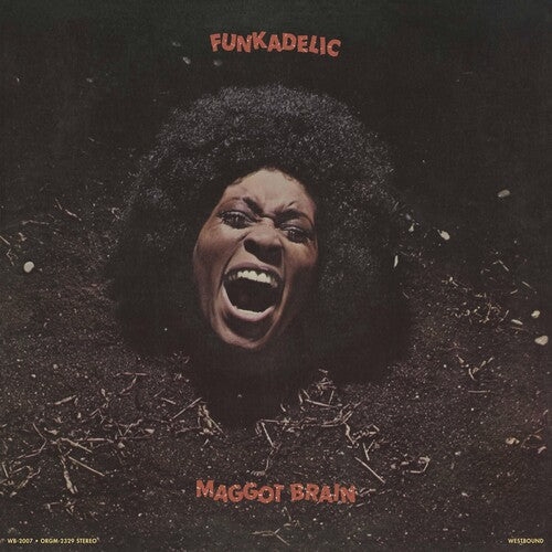 Funkadelic - Maggot Brain