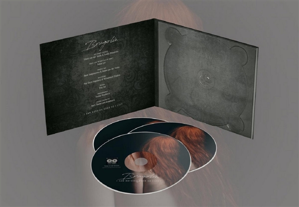 Bragolin - I Saw Nothing Good So I Left