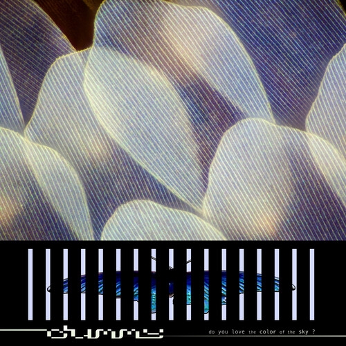 Dummy - Do You Love The Color Of The Sky (neon Yellow)
